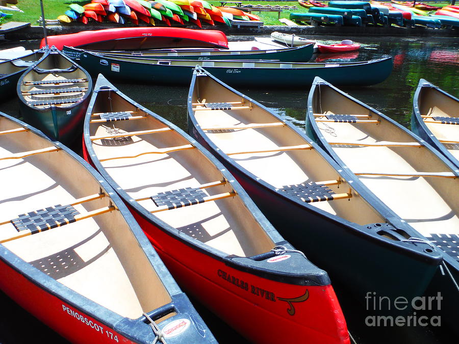Canoes And Kayaks On The Charles River Photograph by Paddy Shaffer