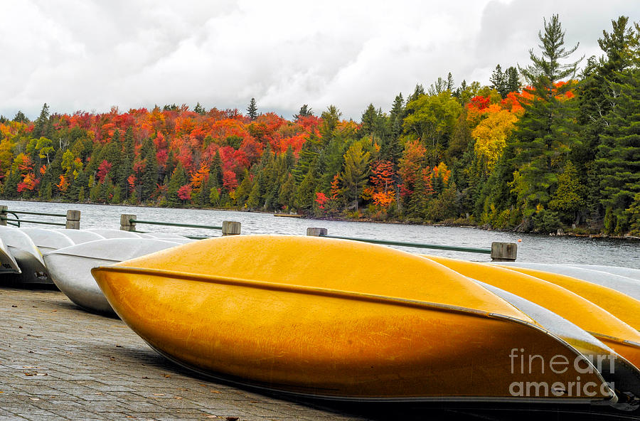 Canoes at Algonquin Park Photograph by Les Palenik
