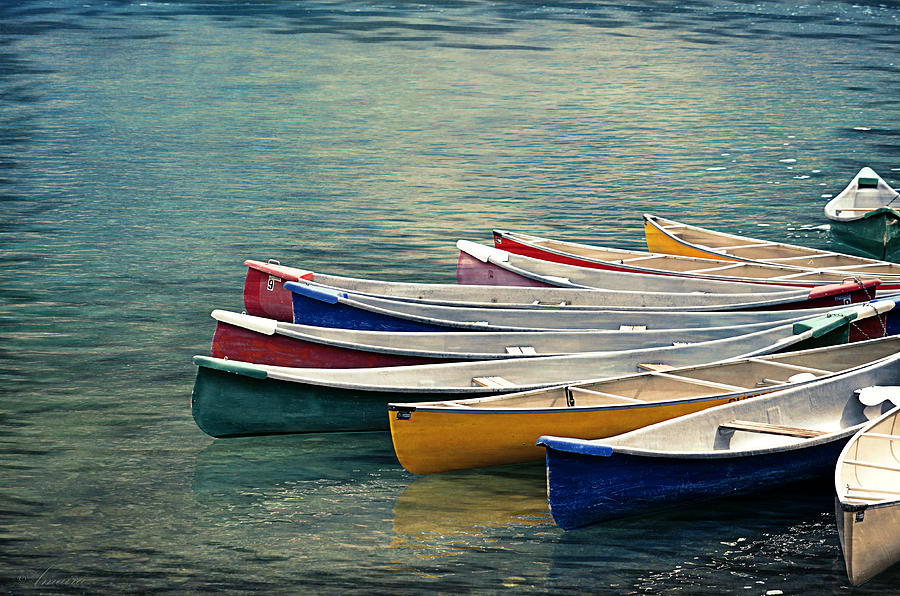 Canoes  Photograph by Maria Angelica Maira