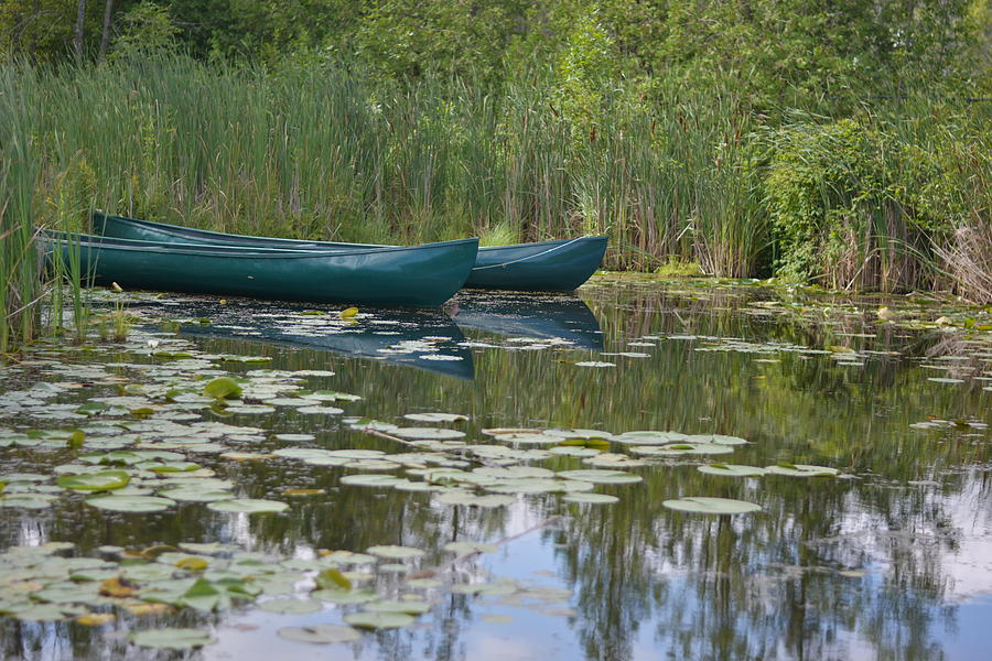 Canoes on Marshland Photograph by James Canning