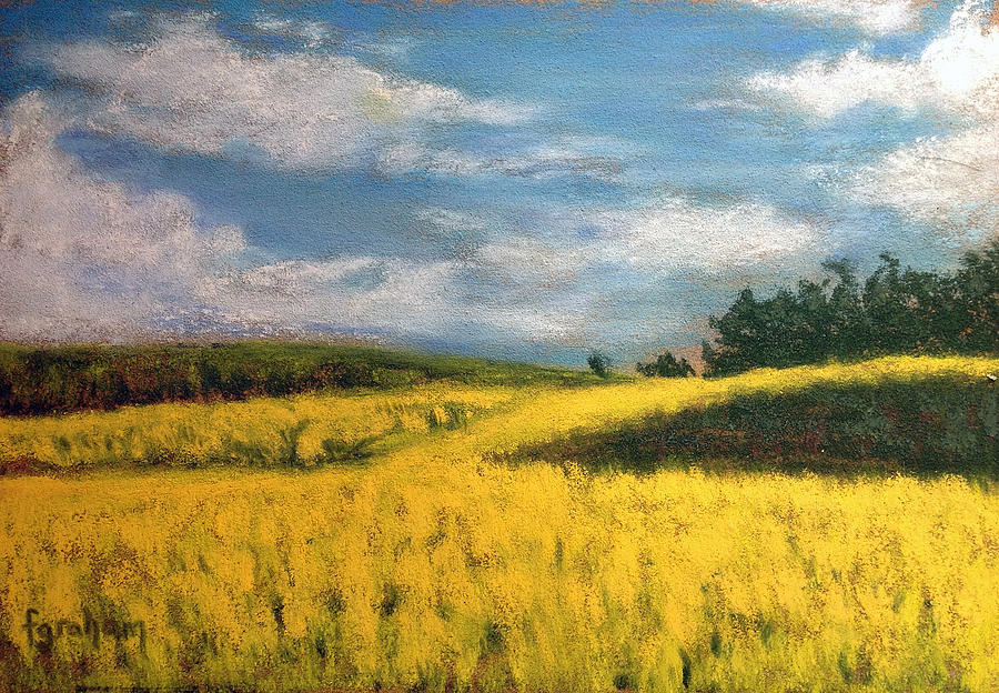 Canola Fields in Rimbey Alberta Pastel by Fiona Graham