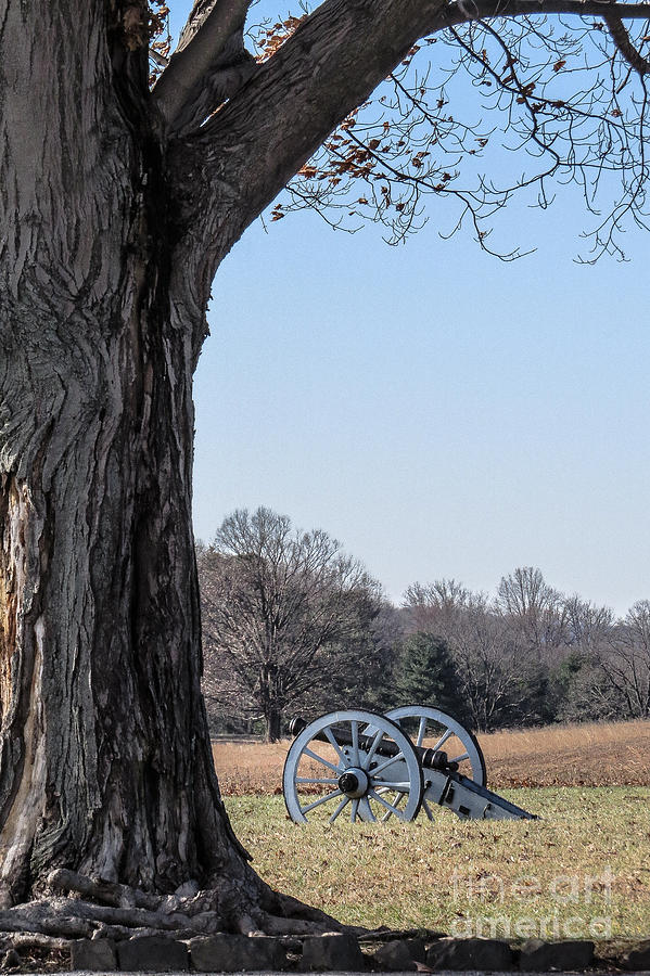 Nature Photograph - Canon at Valley Forge Park  by Dawn Gari