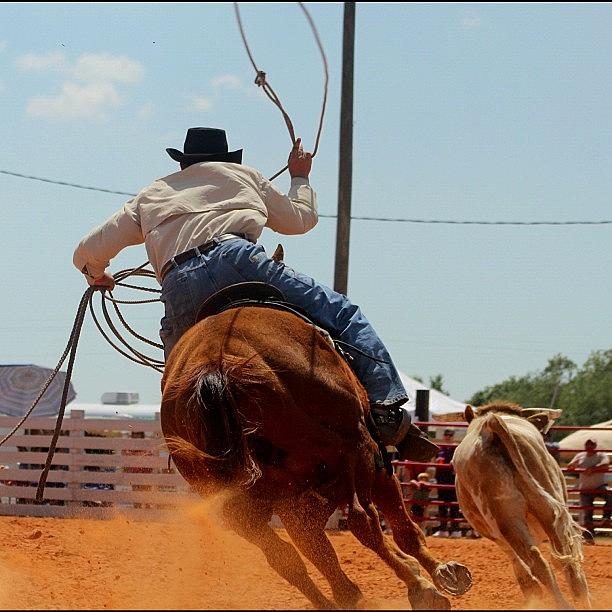 Roper Photograph - #canon #cowboy #actionshots #roper by Lisa Yow