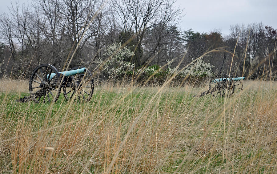 Cannon in the Grasses of Manassas National Battlefield Park Photograph by Bruce Gourley