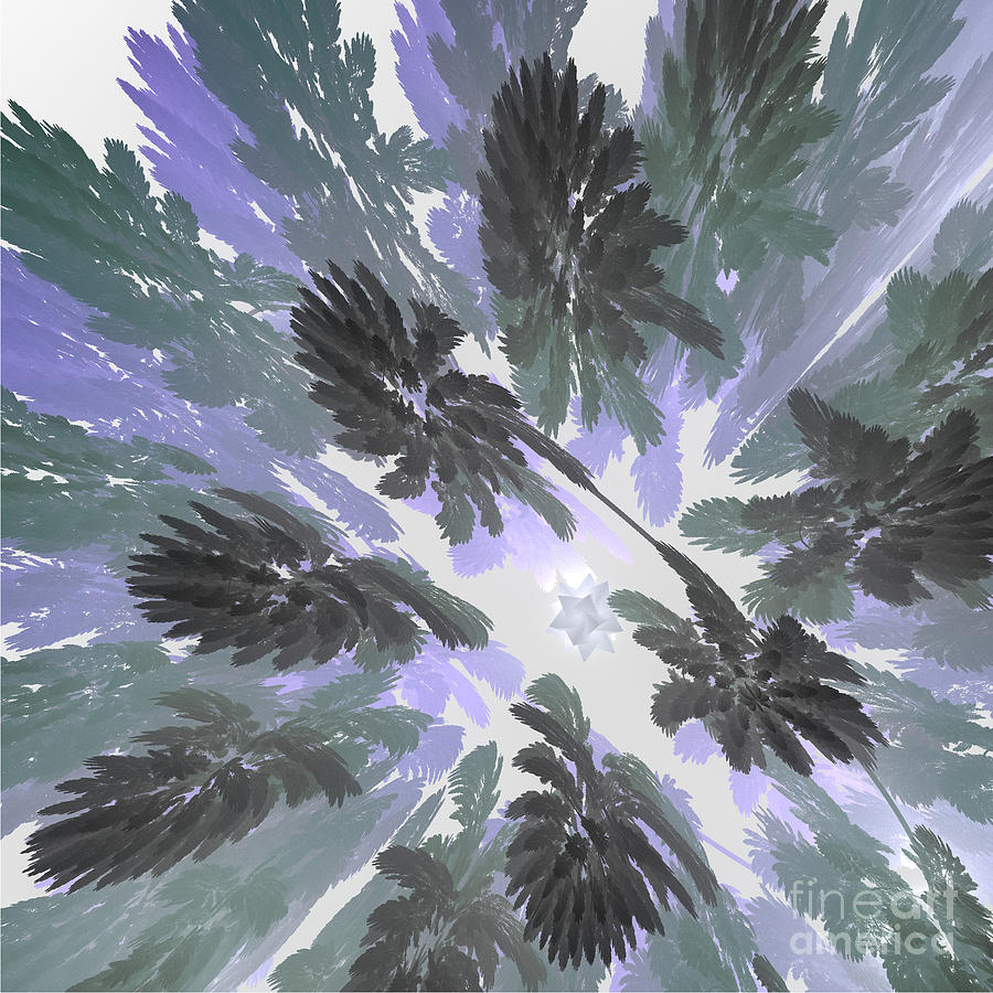 Daytime Jungle Sky by jammer Digital Art by First Star Art
