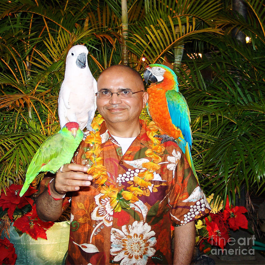 Bird Painting - Cant get brighter than this  Artist NavinJoshi in Hawaii travel vacations with trained parrots by p by Navin Joshi