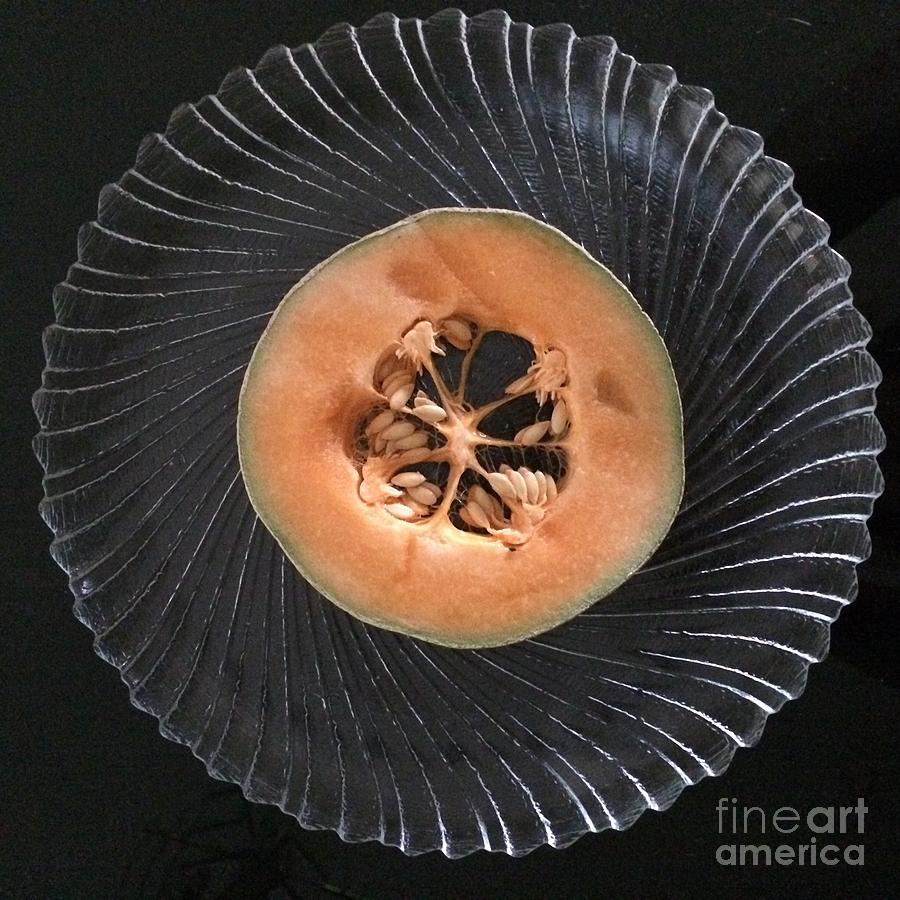 Cantaloupe On Plate Photograph