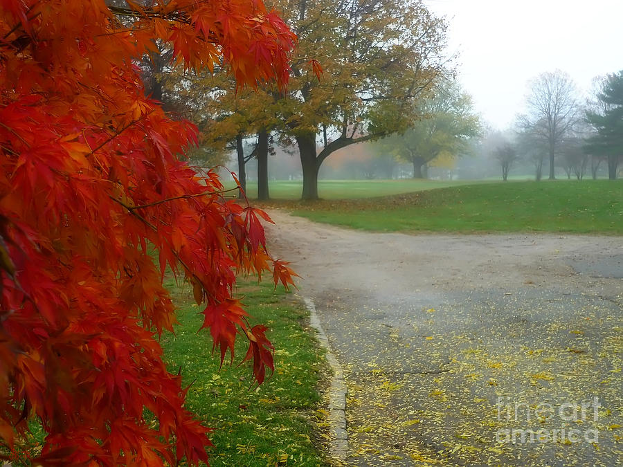 Fall Photograph - Cantiague Park  by Jeff Breiman