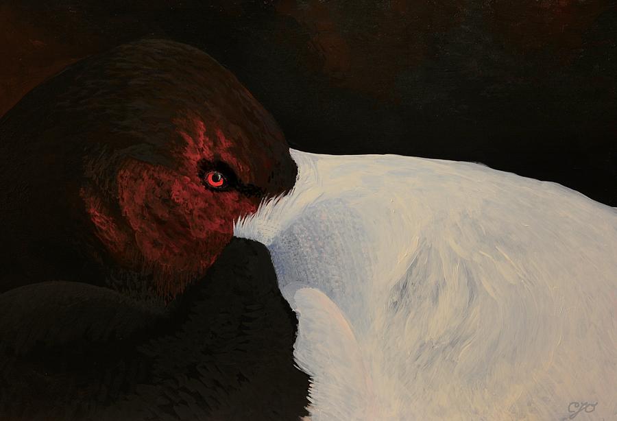 Canvasback  Painting by Charles Owens