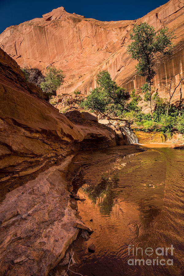 Canyon and Waterfall - Coyote Gulch - Utah Photograph by Gary Whitton