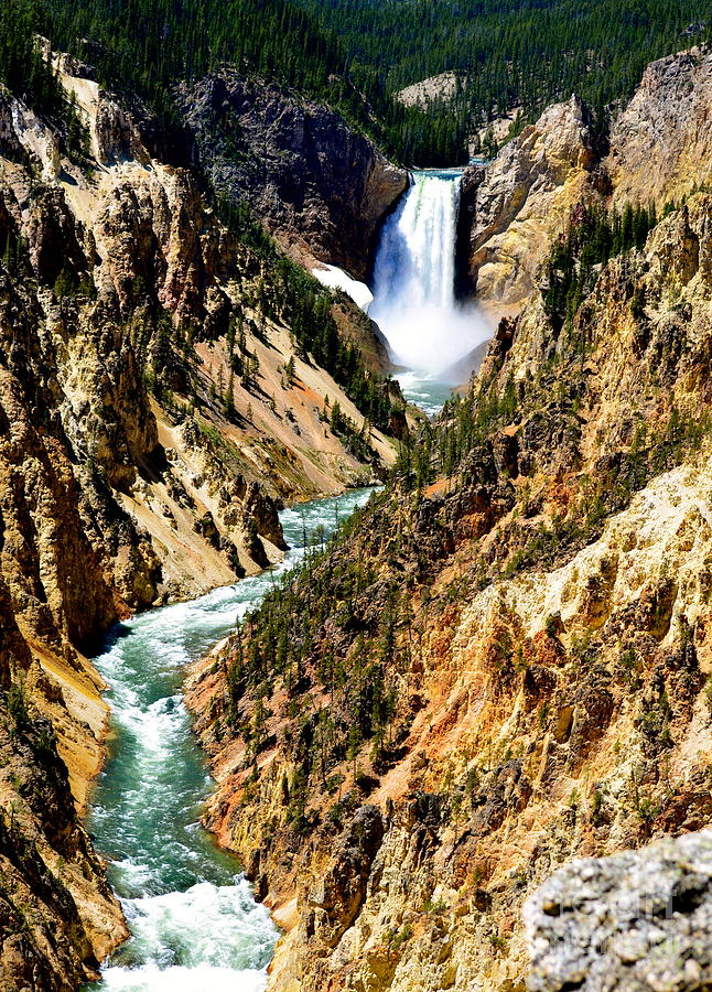 Yellowstone National Park Photograph - Canyon Beauty by Johanne Peale