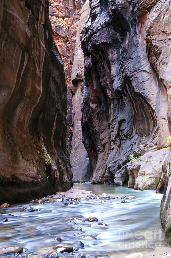 The Narrows Canyon Color One Photograph by Bob Phillips