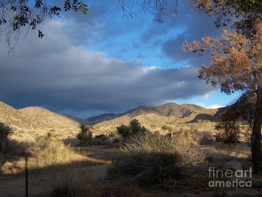 Desert Photograph - Canyon Color by Christine Drake