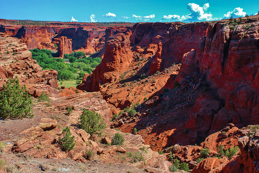 Canyon de Chelly Colors Photograph by Dany Lison