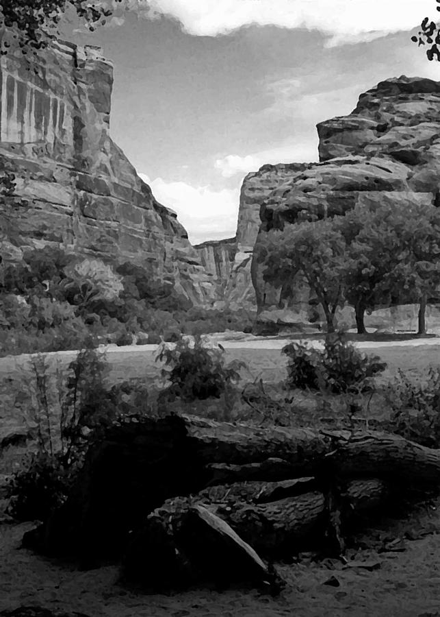 Canyon de Chelly National Monument 1993 B W Photograph by Connie Fox