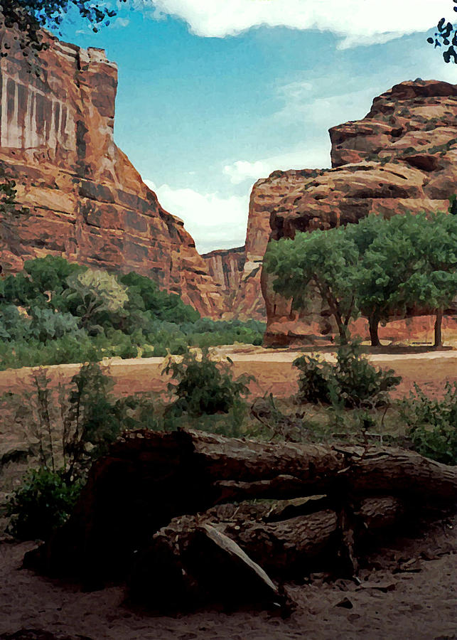 Canyon de Chelly National Monument 1993 Photograph by Connie Fox