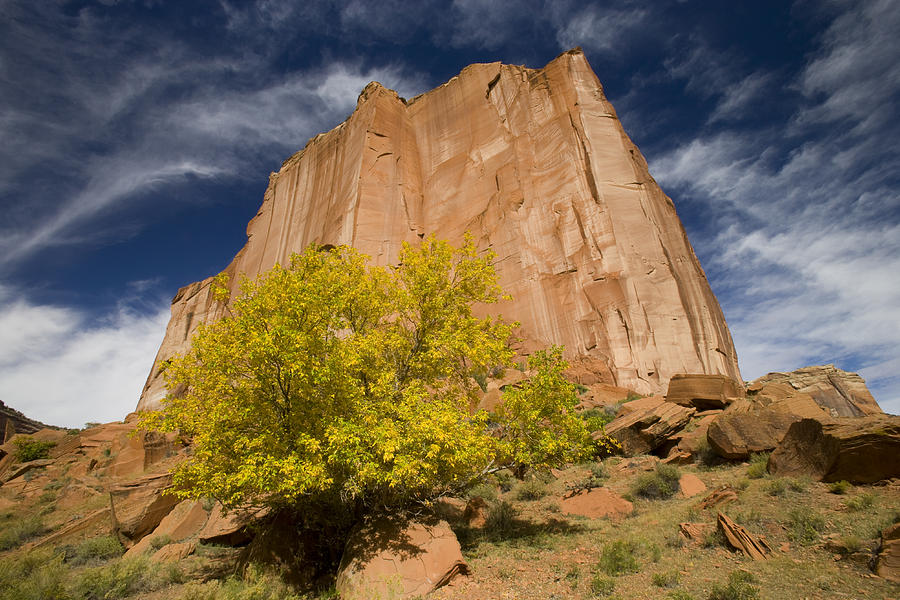 Canyon De Chelly National Monument Photograph by Tom Vezo
