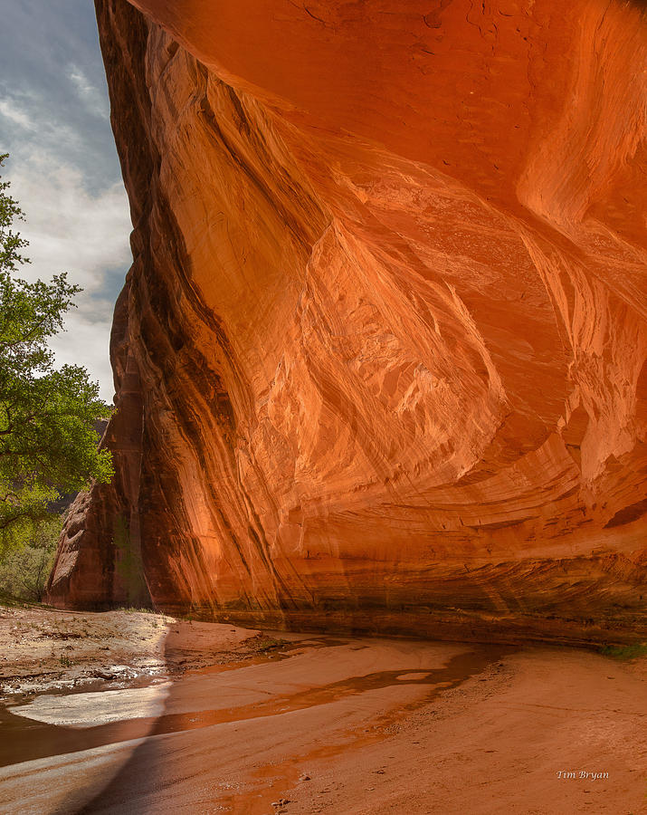Landscape Photograph - Canyon De Chelly Morning by Tim Bryan