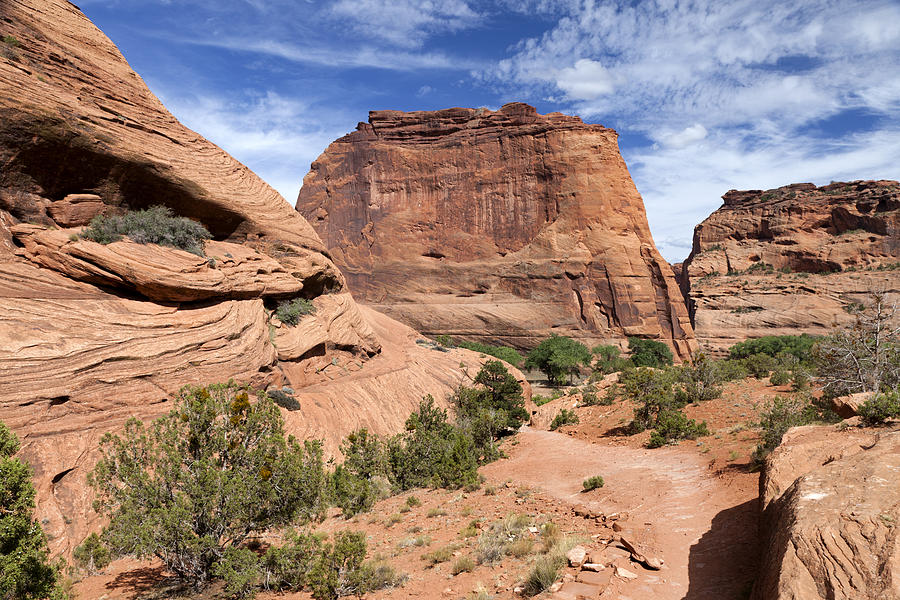 Canyon de Chelly Trail Photograph by Rick Pisio
