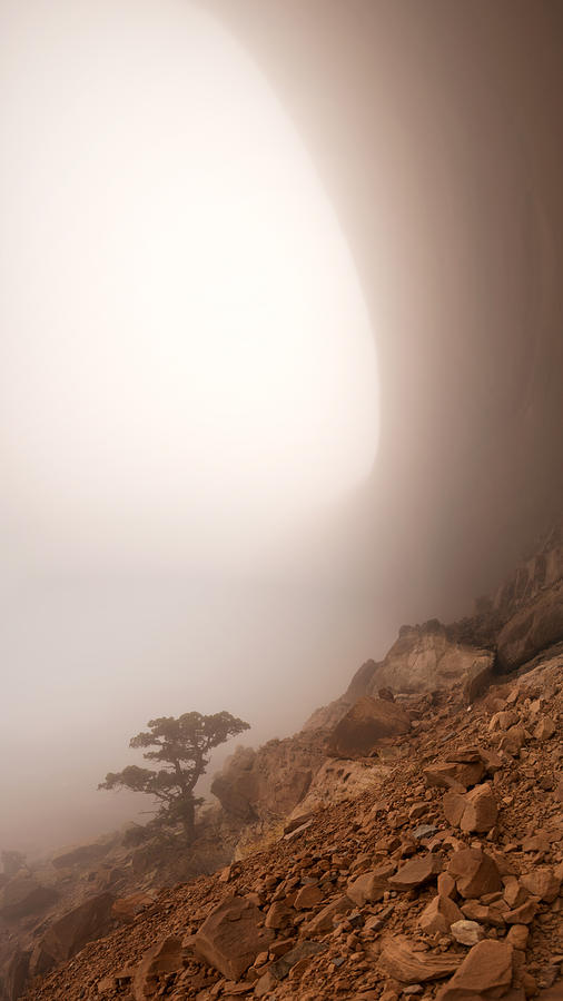 Canyon Fog Photograph by Dustin LeFevre