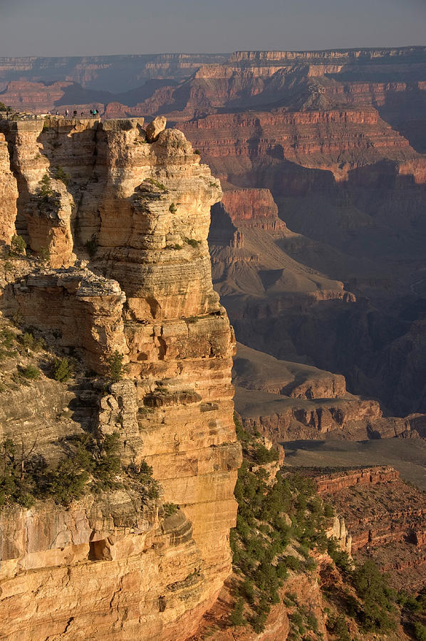 Canyon From Mather Point Photograph by John Elk