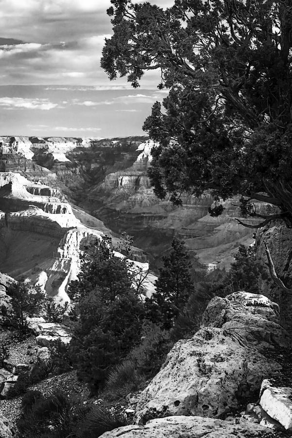 Canyon Gorge -1 Photograph by Alan Hausenflock