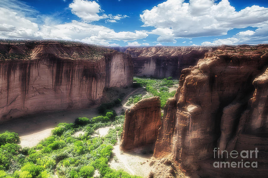 Canyon Green Photograph by George Oze - Fine Art America