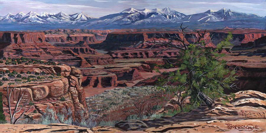 Canyon Lands Painting by Timithy L Gordon