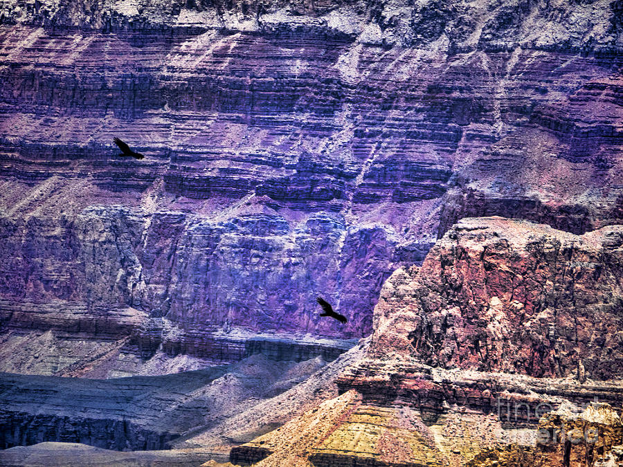 Where Condors Fly Photograph by Brenda Kean
