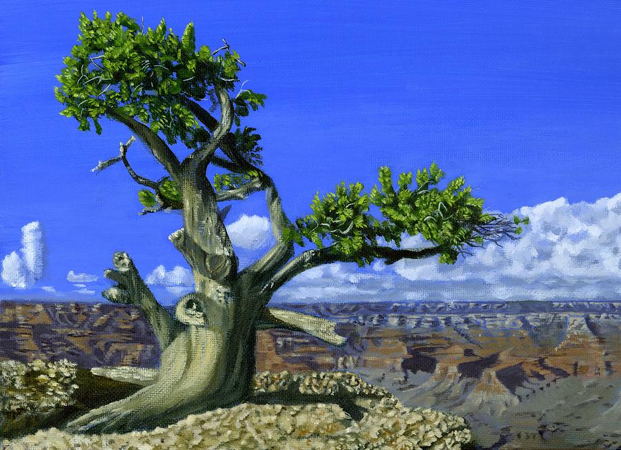 Canyon Tree Painting by Phil Clark