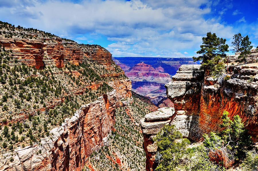 Canyon Vista Photograph by Paul Mashburn
