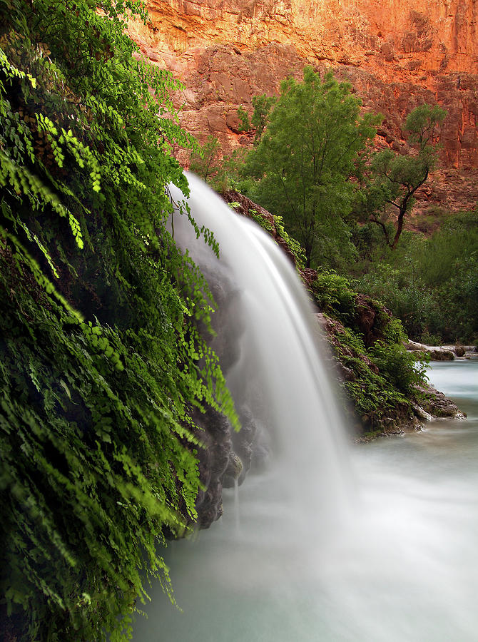 Canyon Waterfall With Maidenhair Fern Photograph by Michele Sons