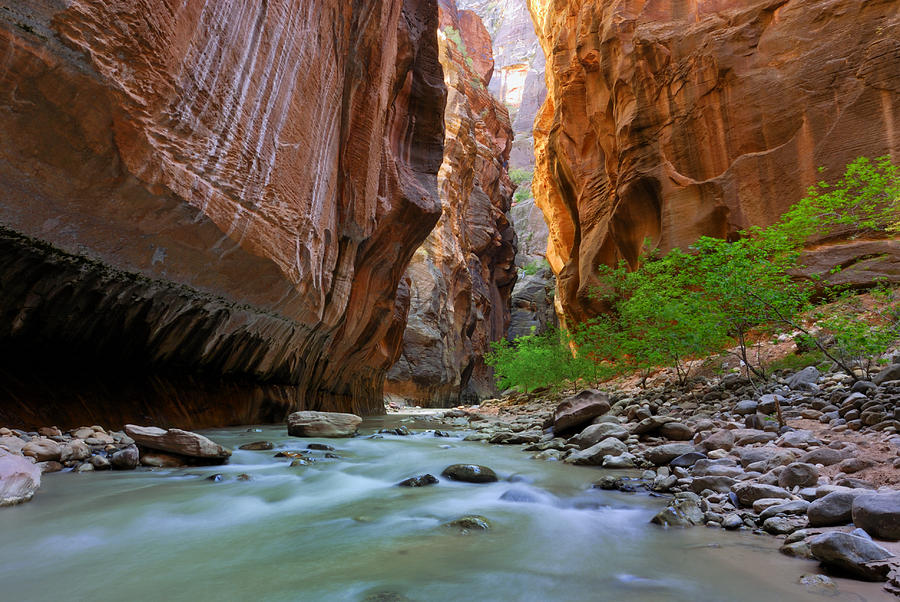 Canyoneering Zions National Park Photograph by Kriss Russell - Pixels