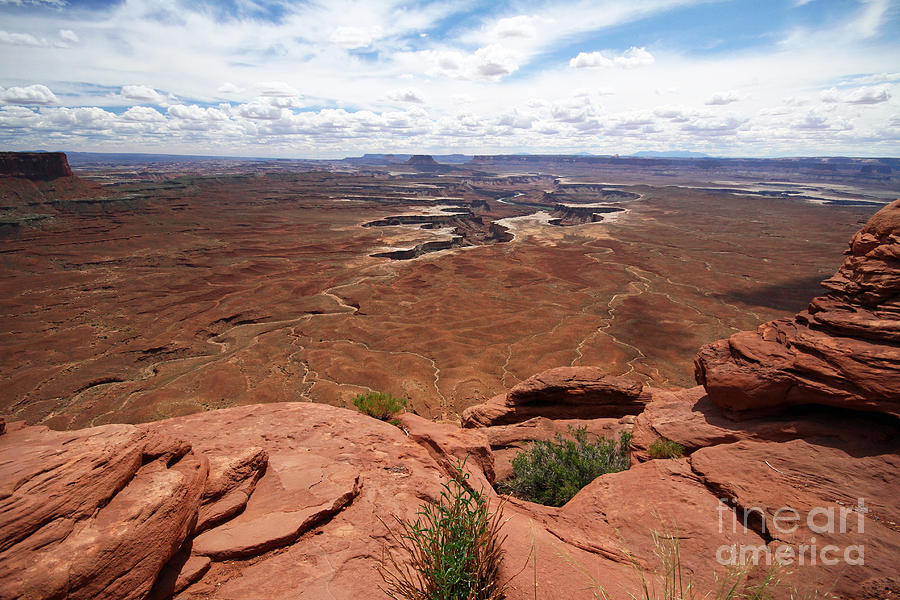 Canyonlands Photograph by Butch Lombardi