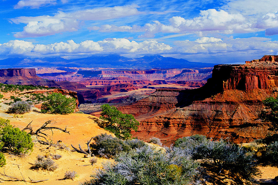 Canyonlands Photograph by Frank Houck