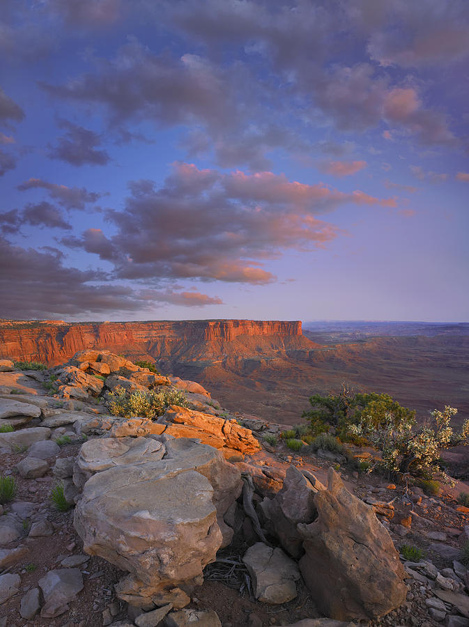 Canyonlands From The Green River Photograph by Tim Fitzharris