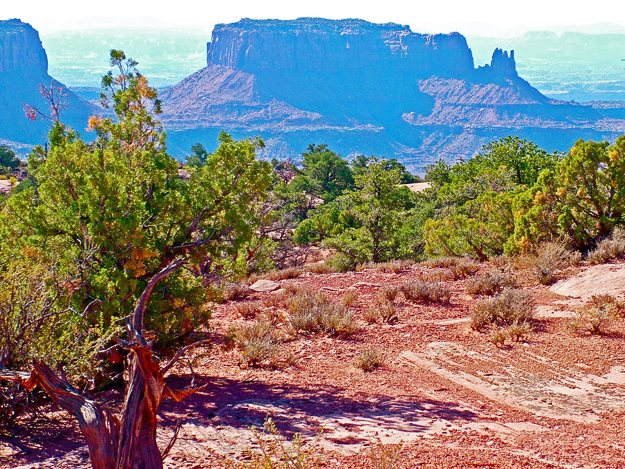 Canyonlands in Blue in Island in the Sky District of Canyonlands National Park, Utah Photograph by Ruth Hager