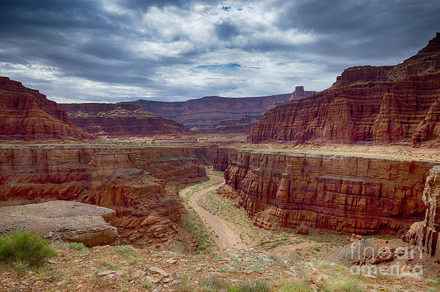 Canyonlands Photograph by Juergen Klust