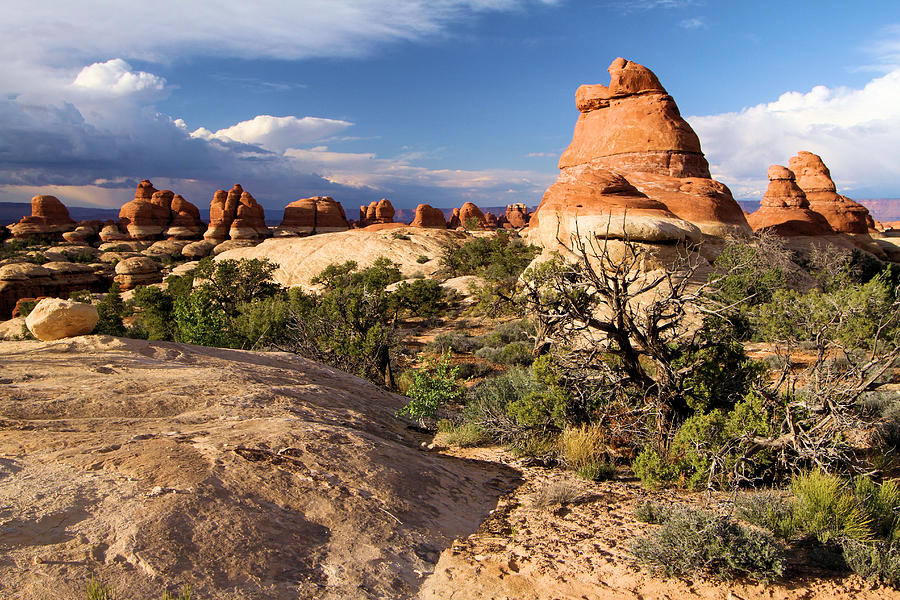 Canyonlands National Park Photograph - Canyonlands National Park by Adam Jewell