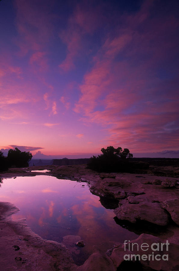 Canyonlands National Park Photograph by Art Wolfe Canyonlands National Park Photograph by Art Wolfe