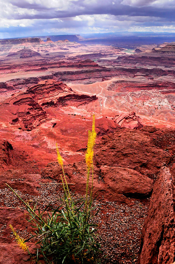 Canyon Lands National Park Photograph - Canyonlands National Park by Don and Bonnie Fink Canyon Lands National Park Photograph - Canyonlands National Park by Don and Bonnie Fink