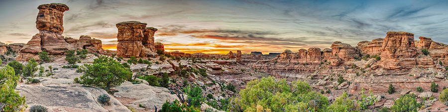 Canyonlands National Park Photograph by Brett Engle