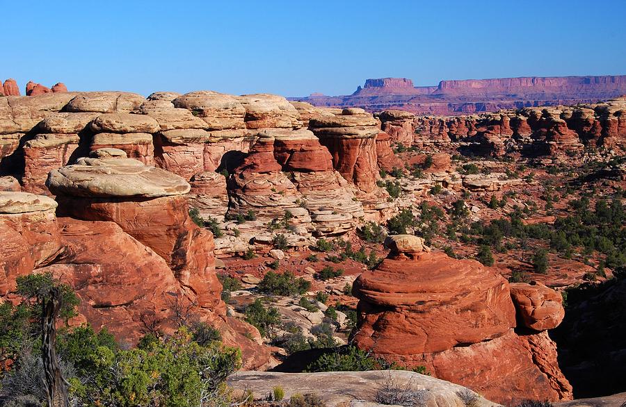 Canyonlands National Park Photograph by Cascade Colors