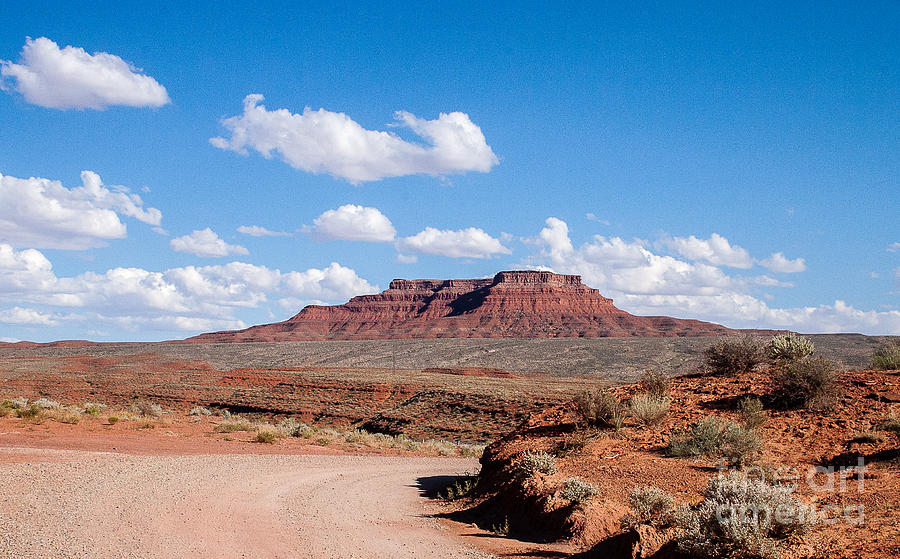 Canyonlands Photograph - Valley of the gods 2003 by Stephen Parker