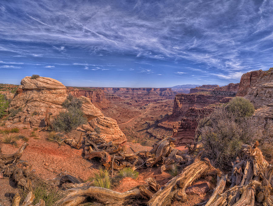 Canyonlands Photograph by Stephen Campbell