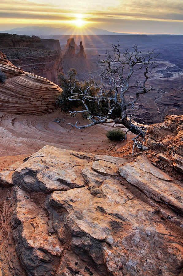 Canyonlands Sunrise Landscape With Dry Photograph by Rezus