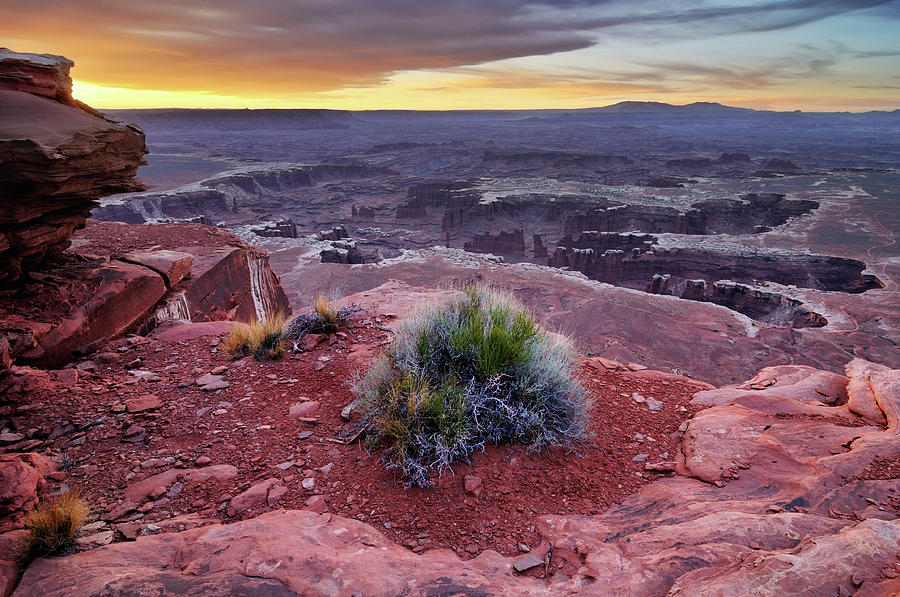 Canyonlands Sunrise Landscape With Lone Photograph by Rezus