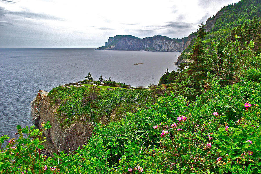 Cap-Bon-Ami in Forillon National Park, Quebec, Canada #4 Photograph by Ruth Hager