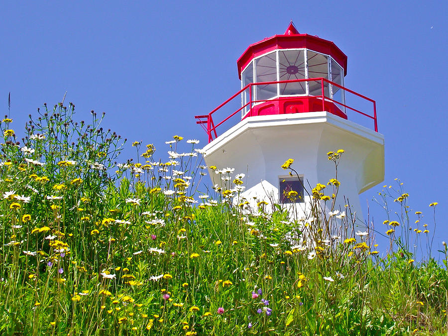Cap Gaspe Lighthouse in ForillonNational Park, Quebec, Canada Photograph by Ruth Hager