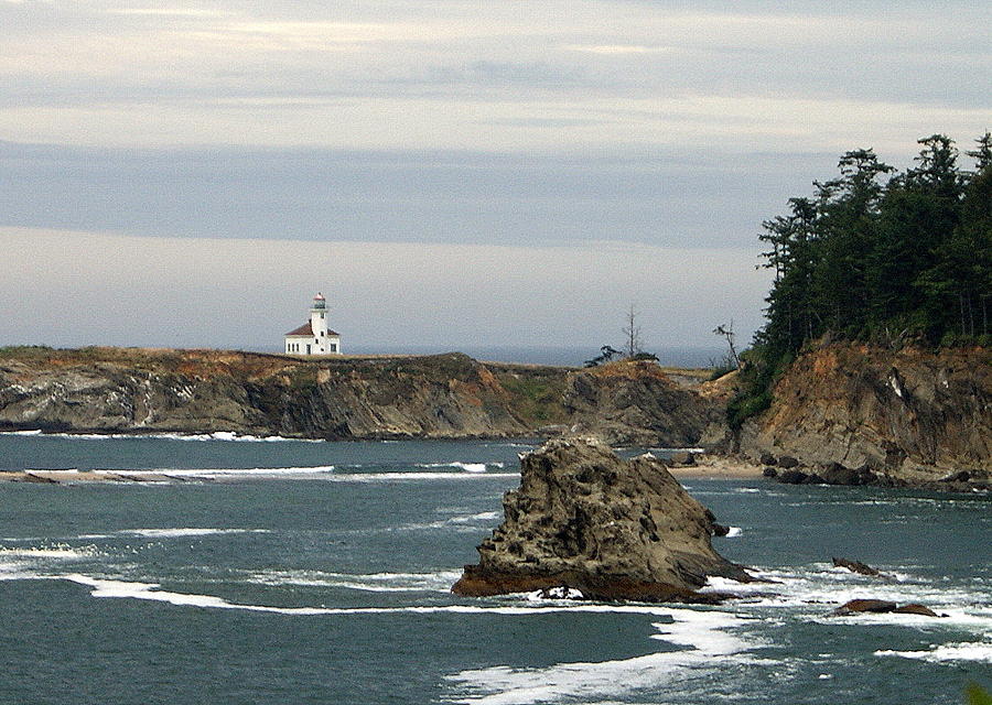 Cape Arago on the Coast Photograph by Beth Collins